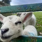 Couples Retreat Cosy Modern ,near Carlisle, The Borders And The Pennines , Near Village Pub & In Peaceful Village Location Lägenhet Castle Carrock