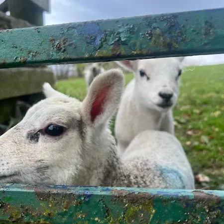 Appartement 200 Yr Old Barn Conversion ,near Carlisle, The Borders And The North Pennines In Peaceful Village Location