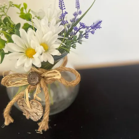 200 Yr Old Barn Conversion ,near Carlisle, The Borders And The North Pennines In Peaceful Village Location Апартаменты *